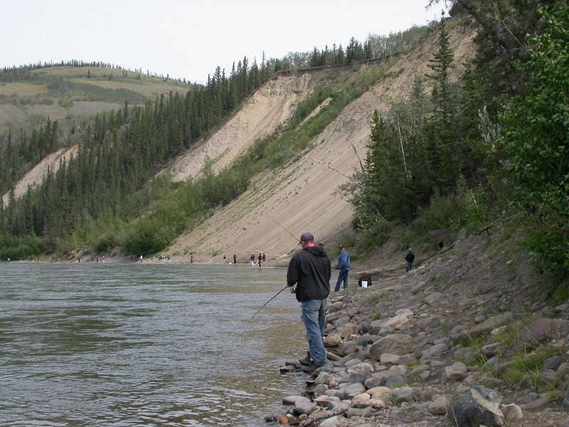 people fishing on the Yukon River alongside the highway between Whitehorse and 
Dawson City